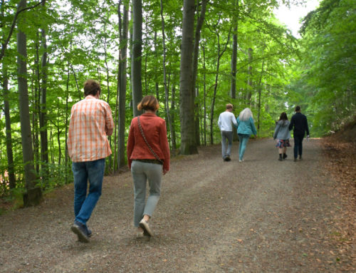 Die ersten Bewohner sind eingezogen
